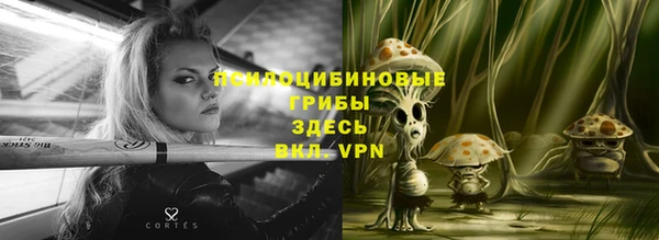мдпв Остров