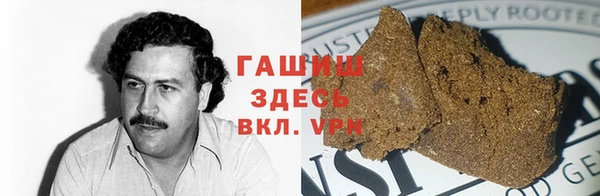 молекула духа Пестово