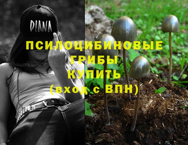 соль курить ск Осинники
