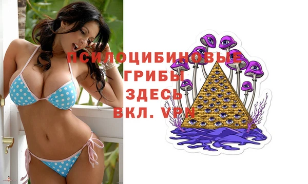 молекула духа Пестово