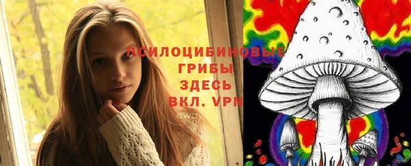 молекула духа Пестово