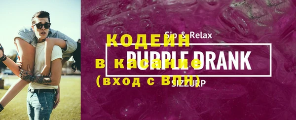 молекула духа Пестово