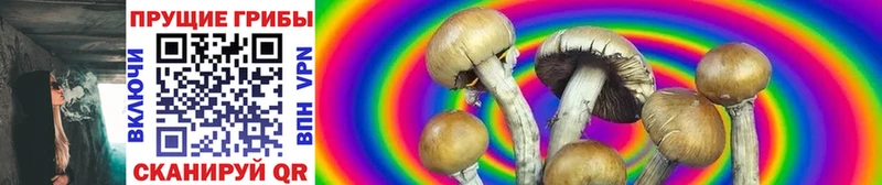 Псилоцибиновые грибы GOLDEN TEACHER  Тетюши 