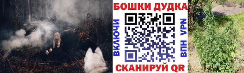 наркота  Тетюши  Каннабис VHQ 